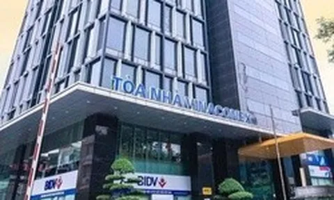 Vinaconex chốt ngày trả cổ tức bằng tiền mặt tỷ lệ 8%