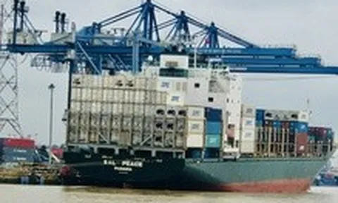 Cước tàu đi Mỹ và châu Âu dự báo tăng thêm, rủi ro đảo chiều hiện hữu