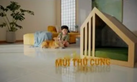 Liệu nước lau sàn có thể khử mùi hôi mà vẫn an lành cho thú cưng?