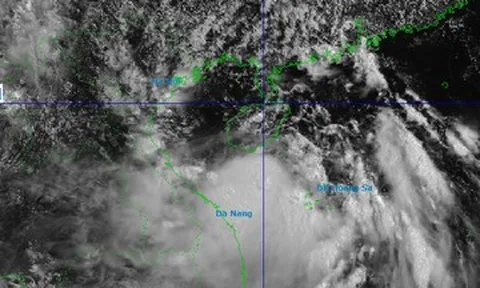 Bão số 1 Maysak đang tiến vào vịnh Bắc Bộ, 11 tỉnh thành khẩn trương ứng phó