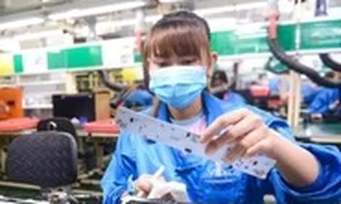 Vốn FDI vào Việt Nam 6 tháng năm 2026 đạt kỷ lục hơn 34 tỉ USD