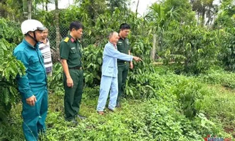 Từ tin báo của người dân, tìm được nhiều di vật của liệt sĩ
