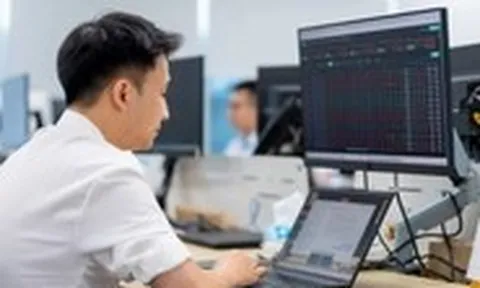 Dòng tiền suy yếu, chiến lược nào giúp nhà đầu tư ‘sinh tồn’ trên thị trường?