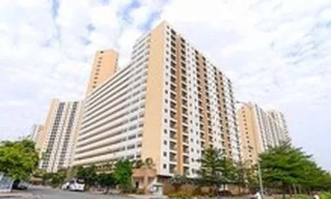 TP.HCM đề xuất đưa nhà tái định cư bỏ hoang thành nhà ở xã hội