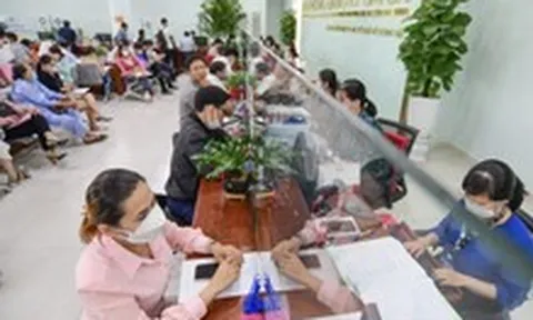 Chủ tịch UBND xã được xử phạt vi phạm hành chính về đất đai gấp 50 lần so với trước