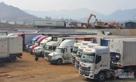 Thiếu tài xế container, chuỗi vận tải đối mặt nguy cơ đứt gãy