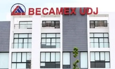 Một công ty bất động sản vốn trăm tỉ ở TP.HCM: 14 nhân sự, doanh thu vỏn vẹn 1 triệu đồng/tháng