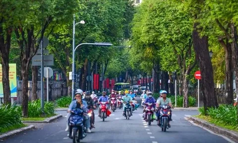 Chuyện nuôi nấng sinh viên của thành phố này