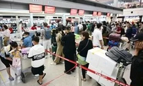 Khách nội địa chững lại, hãng bay Việt tìm đường ra quốc tế