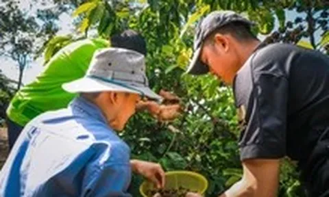 Mời bạn đọc tham gia hội thảo ‘Nâng chất Robusta Việt từ gốc’