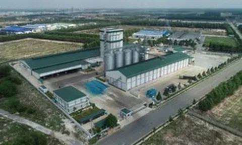 Từ năng suất đến phát triển bền vững: Bài toán mới của ngành chăn nuôi Việt Nam