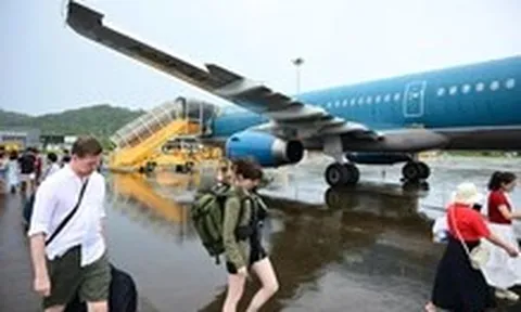 Vietnam Airlines thuê thêm 19 chiếc Boeing 737 MAX 8