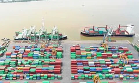 Phó Tổng Giám đốc Viconship đăng ký mua 500.000 cổ phiếu VSC