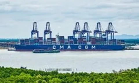 TP.HCM: Thành lập khu thương mại tự do gần 4.200 hecta
