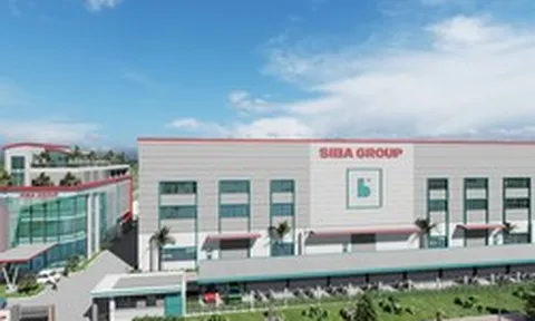 Siba Group bị xử phạt và truy thu tiền thuế hơn 11 tỷ đồng