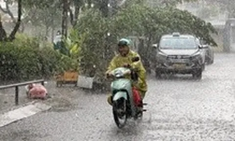 Từ 'lên thành phố' đến 'về thành phố'