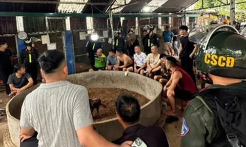 Bắt nhiều người tại điểm cá cược đá gà quy mô lớn ở Lạng Sơn