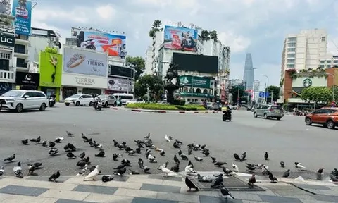 Là nơi trở về...