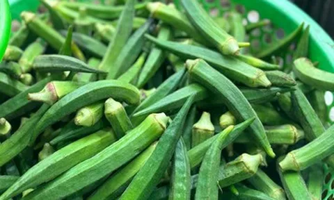 Luộc đậu bắp bao lâu thì chín? Cách luộc đậu bắp xanh, giòn, không bị nhớt