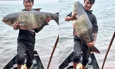Ngư dân 30 tuổi có duyên bắt cá mè 'khủng' ở Biển Hồ