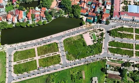 Muốn giảm đầu cơ đất, phải đánh thuế mạnh đất bỏ hoang