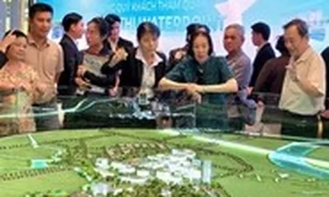 Bắt đầu rà soát, truy thu thuế với bác sĩ, luật sư, môi giới bất động sản