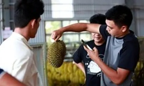 Thương nhân kiến nghị khi Chính phủ gỡ vướng cấp mã số vùng trồng sầu riêng
