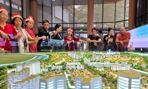 Bác sĩ, luật sư, môi giới bất động sản sẽ bị rà soát thuế trong bao nhiêu năm?
