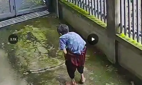 Hàng trăm người tìm kiếm cụ bà 89 tuổi ở Đồng Nai