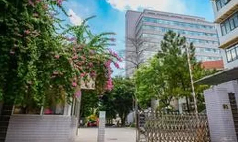 Đúng 3/8, 'Harvard Việt Nam' thành lập 4 trường thuộc đầu tiên, mục tiêu mở tổng cộng 7 trường