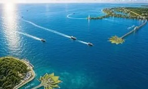 TP.HCM lập tổ chuyên gia tư vấn, hỗ trợ làm 4 công trình chiến lược với tổng vốn 6,7 tỉ USD