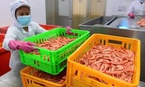 Doanh nghiệp Ba Lan đến Việt Nam tìm tôm để làm burger tôm