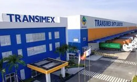 Transimex sắp trả cổ tức bằng cổ phiếu tỷ lệ 7%