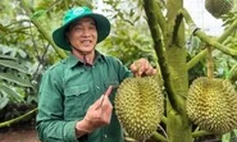 Bộ Nông nghiệp và Môi trường đàm phán với Trung Quốc thống nhất tiêu chuẩn kiểm nghiệm sầu riêng