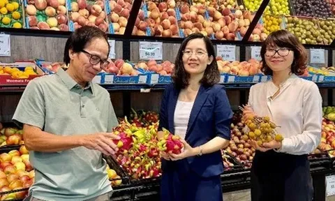 Sản phẩm xuất khẩu nào 'đắt hàng' tại Úc, có tiềm năng vào thị trường hơn 1.600 tỉ USD?