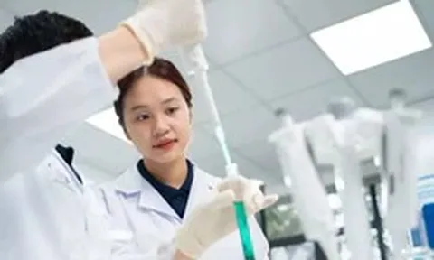 'Chốt' mức lương 300 triệu đồng/tháng với Tổng công trình sư