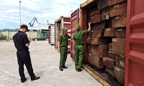 Phát hiện 1,2 tấn ngà voi giấu trong 3 container gỗ ở Gia Lai
