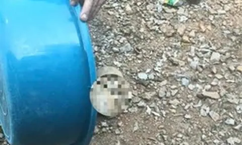 Phát hiện vật thể nghi là sọ người ở Tuyên Quang