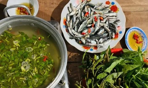 Về sông ăn cá, về đồng ăn cua