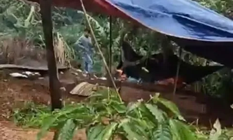 Hiệu trưởng nói gì về nghi phạm sát hại nữ nhân viên thư viện?