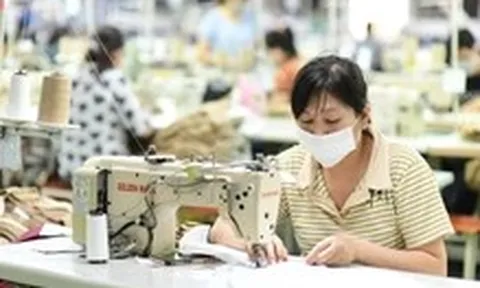 Ách tắc cấp C/O tại địa phương, doanh nghiệp xuất khẩu kiến nghị tháo gỡ khẩn cấp