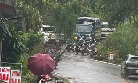 Vụ nữ nhân viên thư viện tử vong: Công an xác định nghi phạm là đồng nghiệp