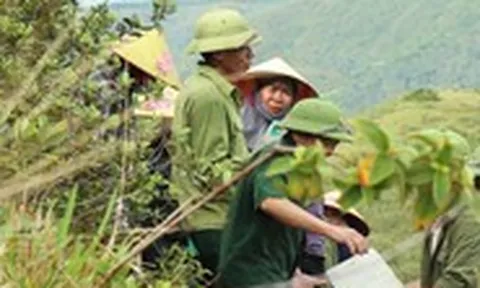 Hơn 1.200 người chuyền tay 3.000 tấm bê tông, đưa dòng chữ 'Bác Hồ sống mãi' trở lại núi Nhón