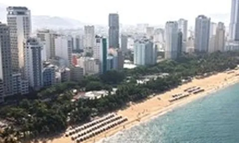 Kinh tế đêm không bắt đầu ở tấm giấy phép