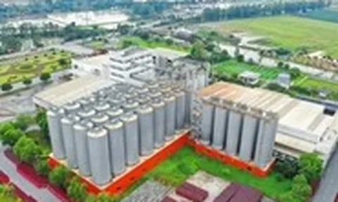 Bia Hà Nội: Từ hầm lên men truyền thống đến chuyển đổi xanh