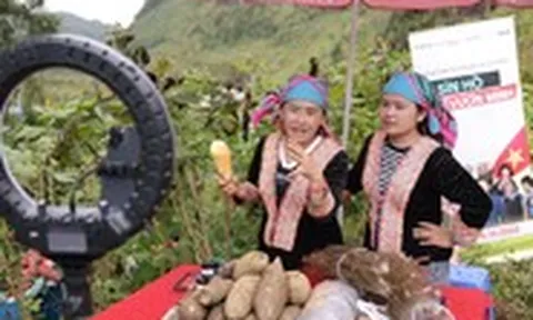 Tìm dư địa mới cho thương mại điện tử tại Việt Nam