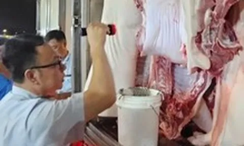 TP.HCM phát hiện, tiêu hủy nhiều lô thịt heo, gà nhiễm chất cấm