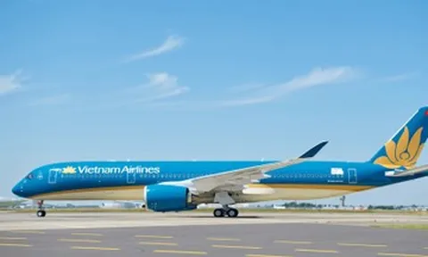 Điều tra sự cố máy bay tại Đức, Vietnam Airlines phải rà soát toàn bộ quy trình