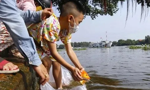 Phóng sinh đúng chánh pháp theo nhà Phật là thế nào?