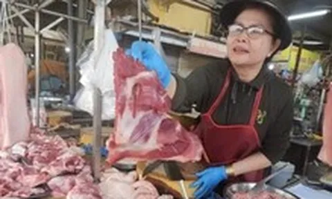 Giá heo hơi giảm liên tiếp, chuyện gì đang xảy ra?